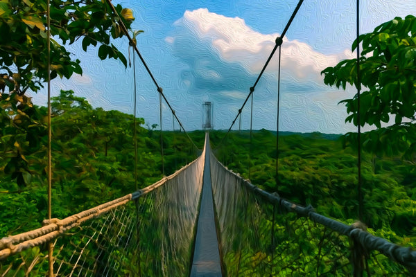 Lekki Conservation Centre Canopy Walk, Lagos watercolor canvas