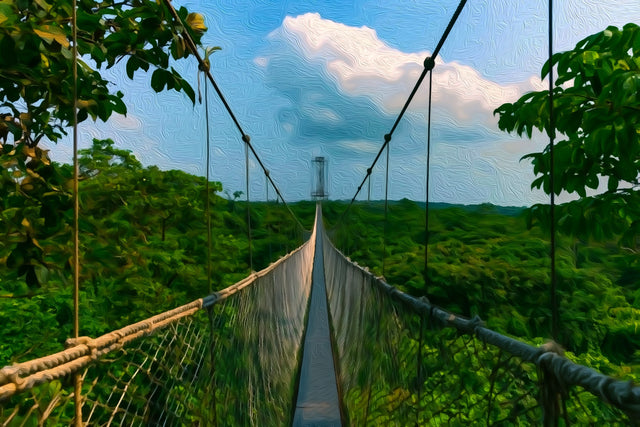 Lekki Conservation Centre Canopy Walk, Lagos watercolor canvas