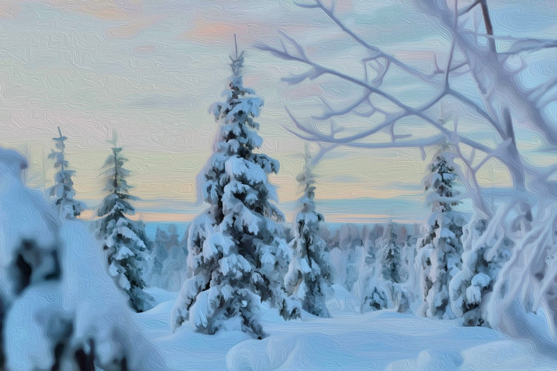 Snowy Lapland Winter Forest, Lapland canvas