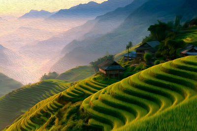 Mù Cang Chải watercolor canvas