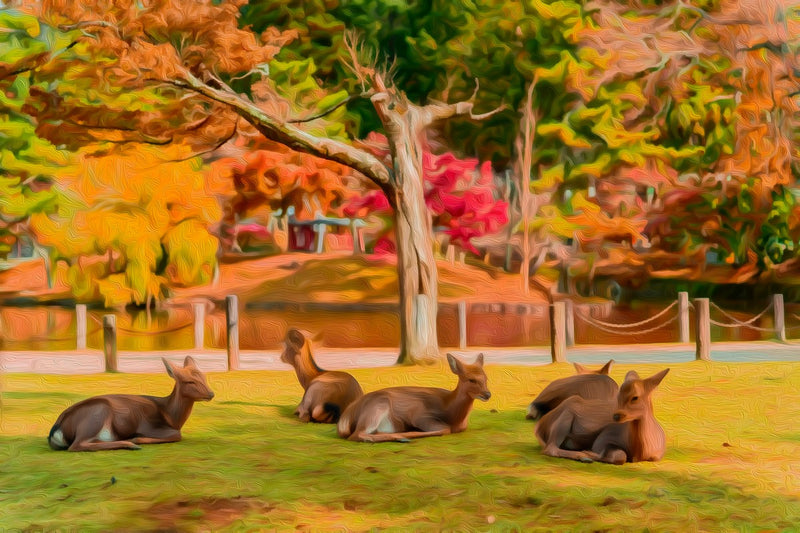 Sacred Deer in Autumn Park, Nara canvas