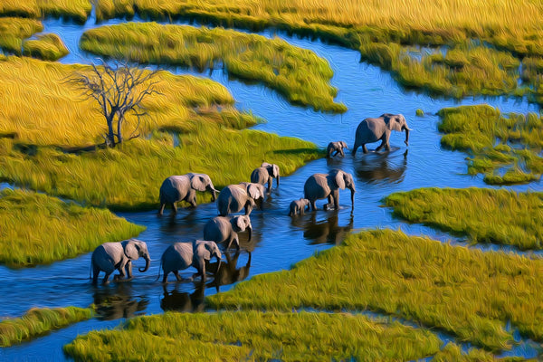 Okavango Delta Elephant Crossing, Okavango Delta watercolor canvas