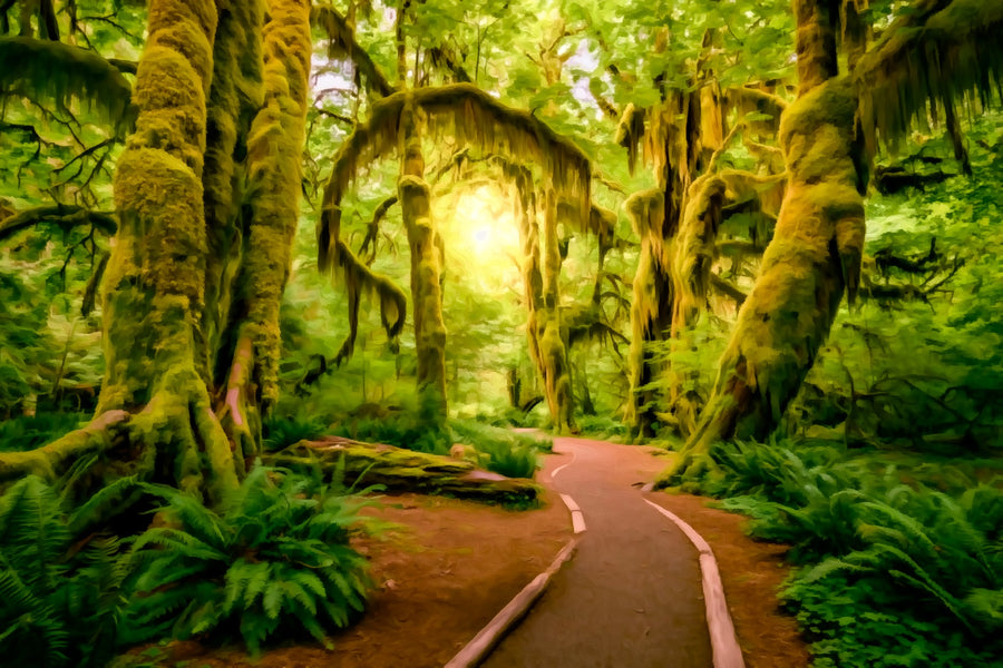 Hoh Rain Forest Trail &mdash; Olympic National Park canvas