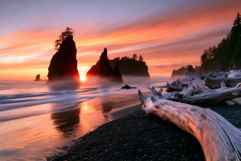 Ruby Beach Sea Stacks Sunset, Olympic National Park canvas
