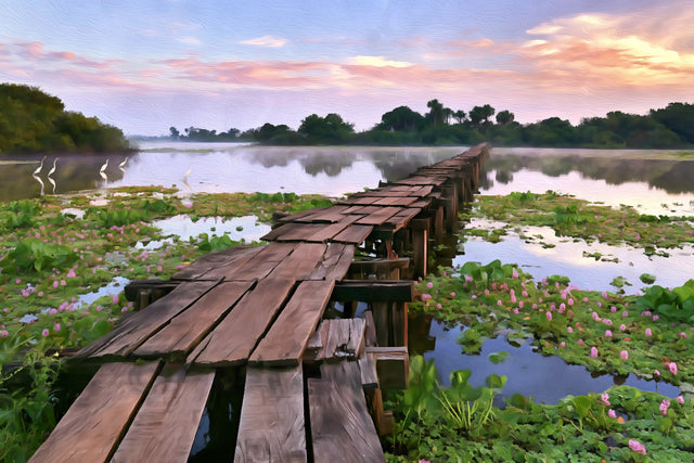 Pantanal Wooden Boardwalk Wetlands, Pantanal watercolor canvas