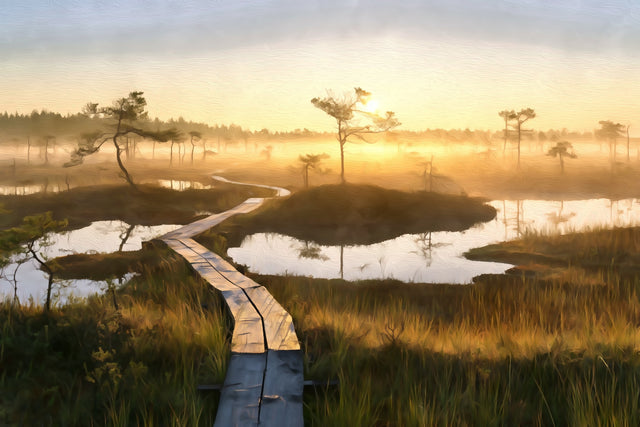 Pärnu Bog Boardwalk Sunrise, Pärnu watercolor canvas