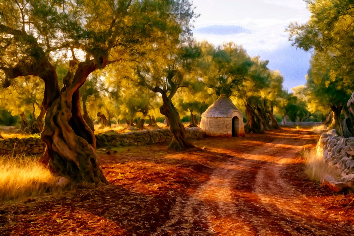 Trullo Olive Grove Path gallery canvas, unframed and in an espresso floating frame — Puglia, Italy