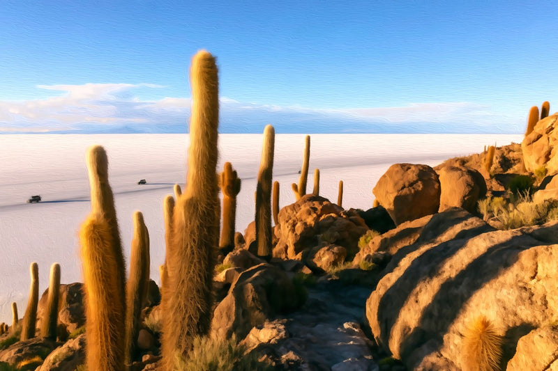 Isla Incahuasi Cactus Island, Salar de Uyuni canvas