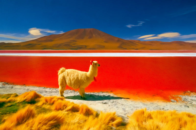 Laguna Colorada Red Lake, Salar de Uyuni canvas