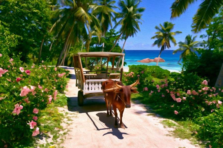 La Digue Ox Cart Path &mdash; Seychelles canvas