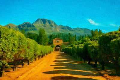 Stellenbosch watercolor canvas
