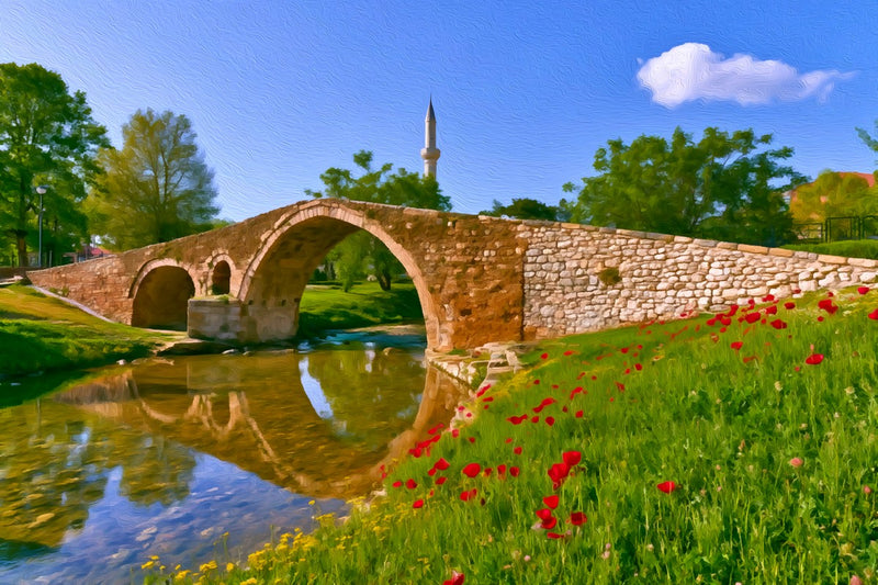 Ura e Tabakëve Stone Bridge, Tirana canvas