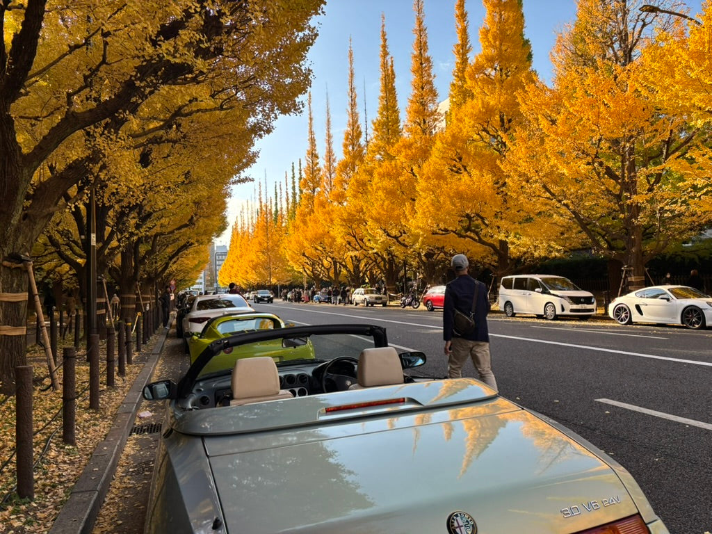 Before Image: View from behind a silver Alfa Romeo Spider convertible parked along a Tokyo street lined with towering, vibrant yellow ginkgo trees under a clear blue sky during autumn.