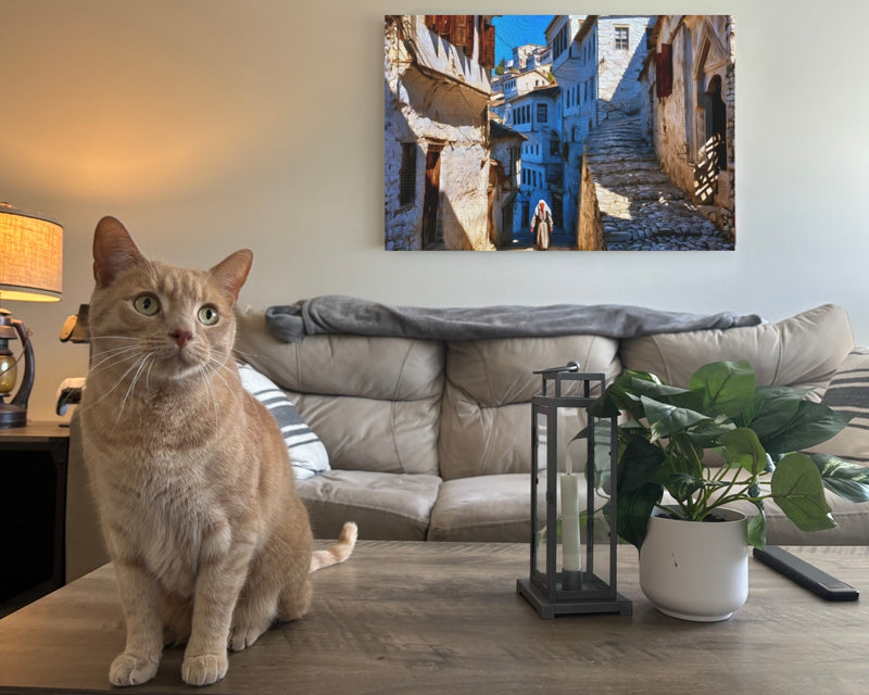 Berat, Albania | Berat Old Town Cobblestone Alley | Original Series Gallery Canvas