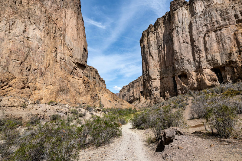 Big Bend National Park, Texas study No. 01