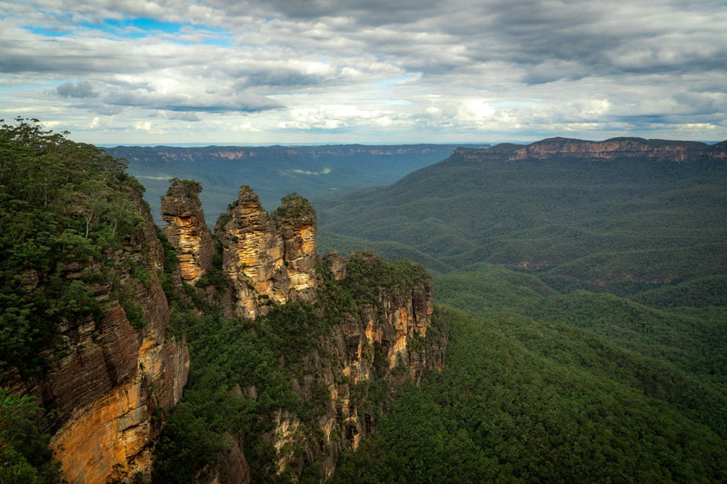 Blue Mountains, Australia study No. 01