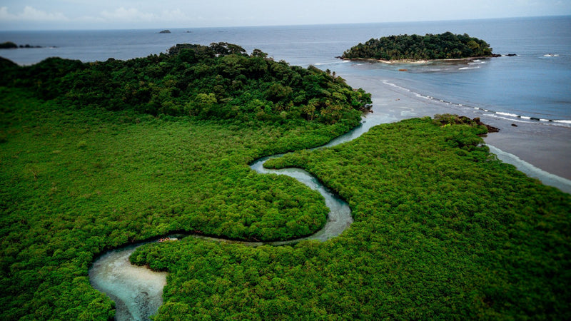 Bocas del Toro, Panama visual study 02