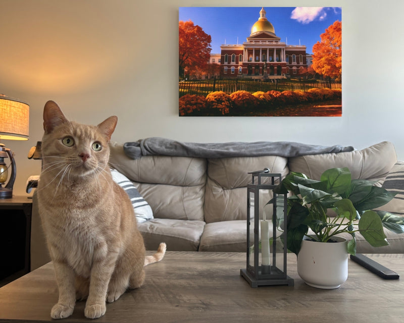 Massachusetts State House — Boston, Massachusetts, view 2