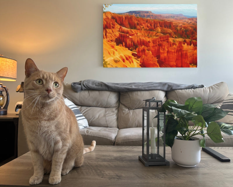 Hoodoos of Bryce Canyon — Bryce Canyon, Utah, view 2
