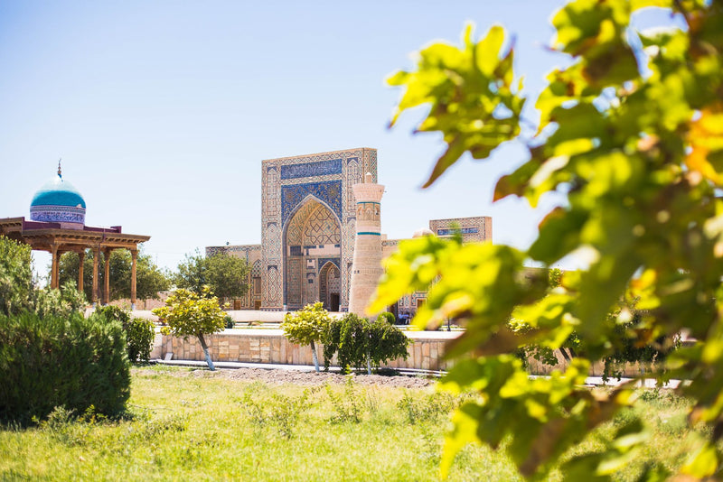 Bukhara, Uzbekistan study No. 03