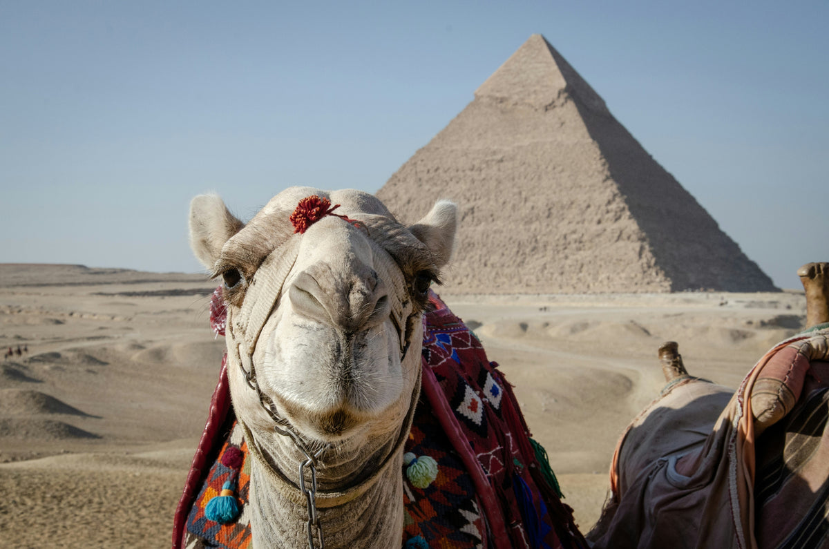 Pyramids of Giza, Egypt study No. 03