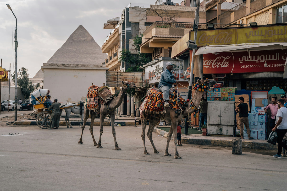 Archival study of Arabic cultural texture