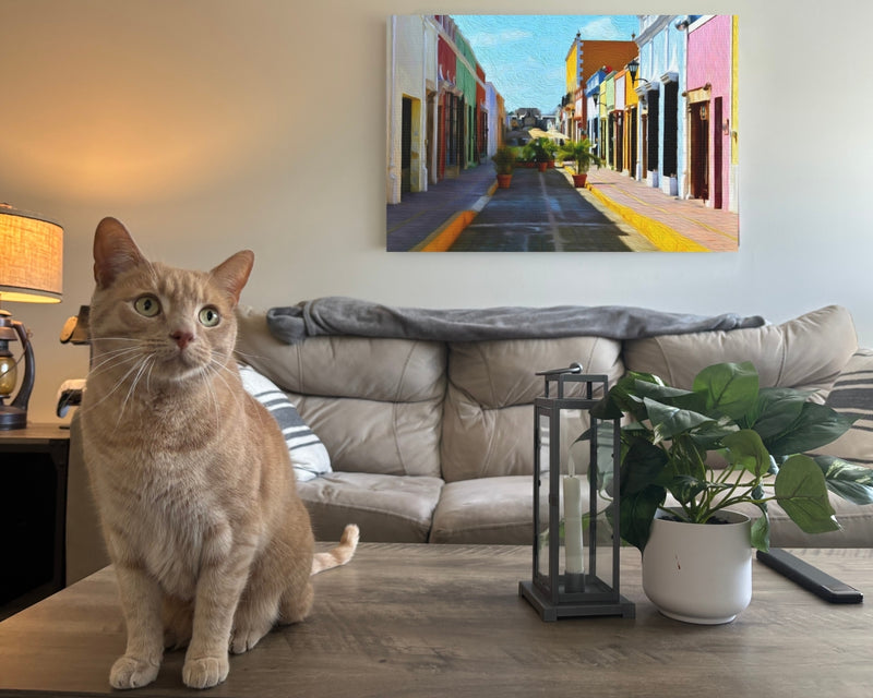 Calle 59 Pedestrian Promenade — Campeche, Mexico, view 2
