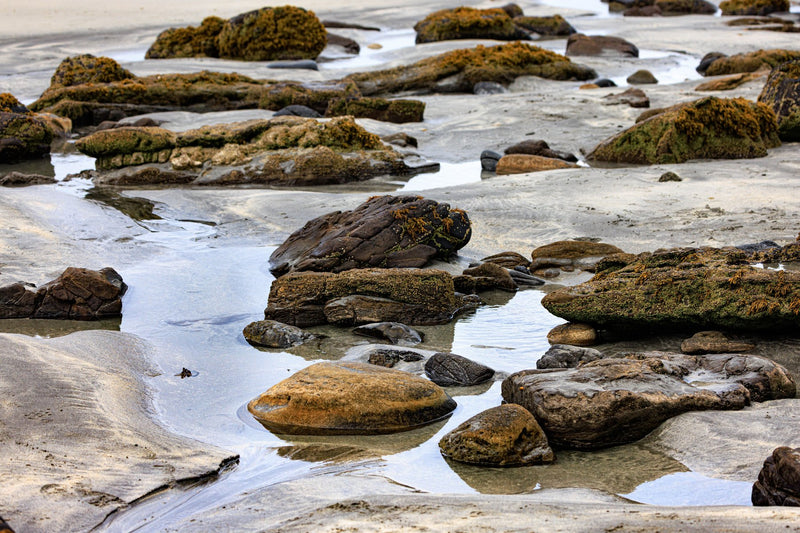 Cannon Beach, Oregon visual study 03