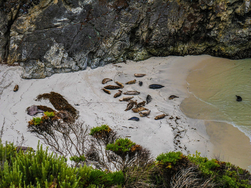 Carmel-by-the-Sea, California visual study 02