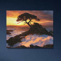 Lone Cypress Tree Coast — study 4 thumbnail