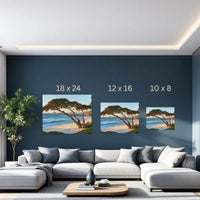Carmel Beach Monterey Cypress — study 3 thumbnail