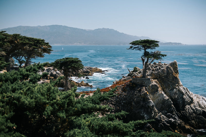 Carmel Valley, California study No. 01