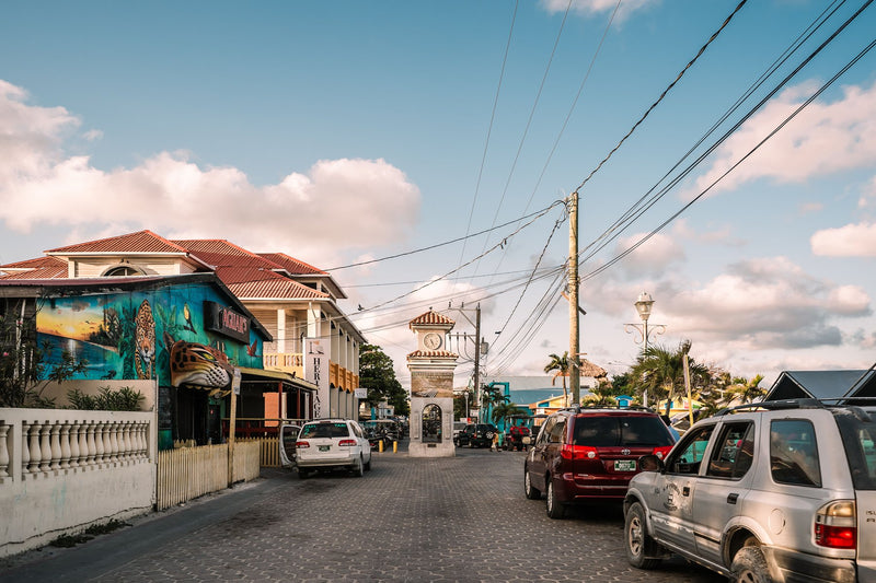 Caye Caulker, Belize study No. 01