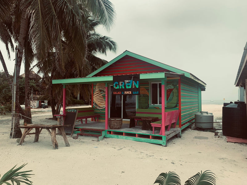 Caye Caulker, Belize study No. 02