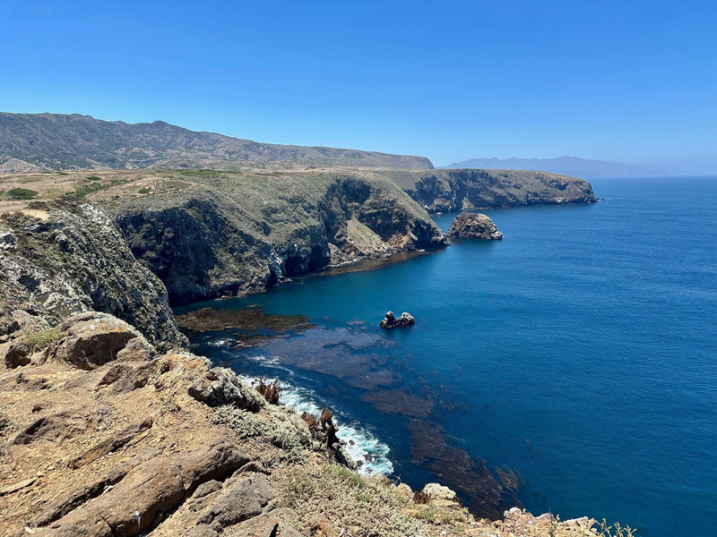 Channel Islands, California study No. 01