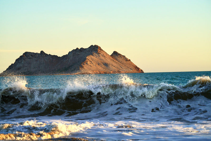 Channel Islands, California study No. 02