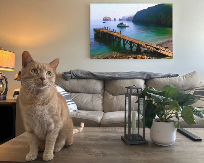Painted Cave Cove Pier — Channel Islands, California, view 2