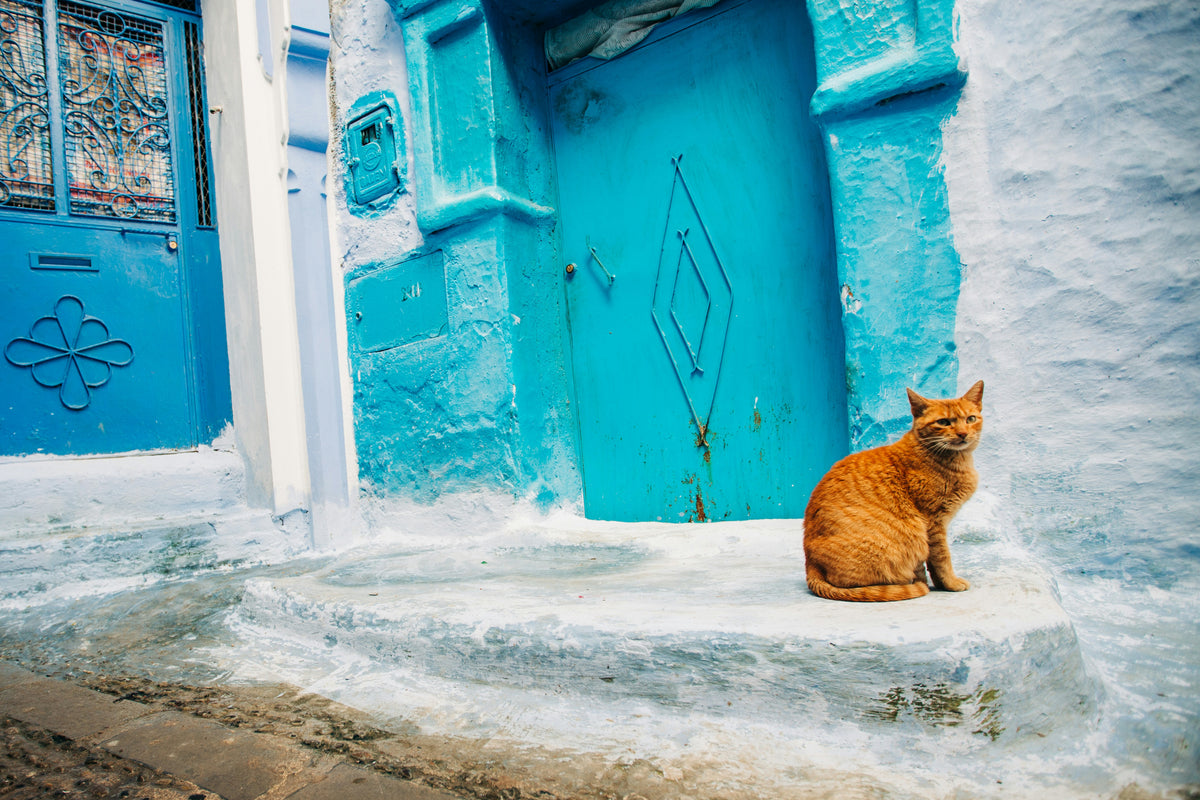 Chefchaouen, Morocco study No. 03