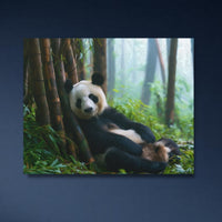 Giant Panda Bamboo Forest — study 4 thumbnail