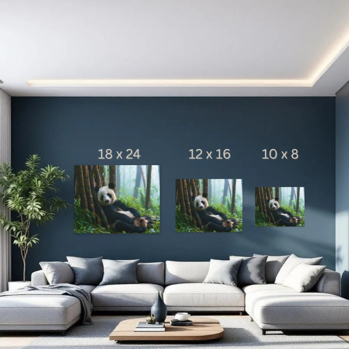 Giant Panda Bamboo Forest — Chengdu, China, study 3