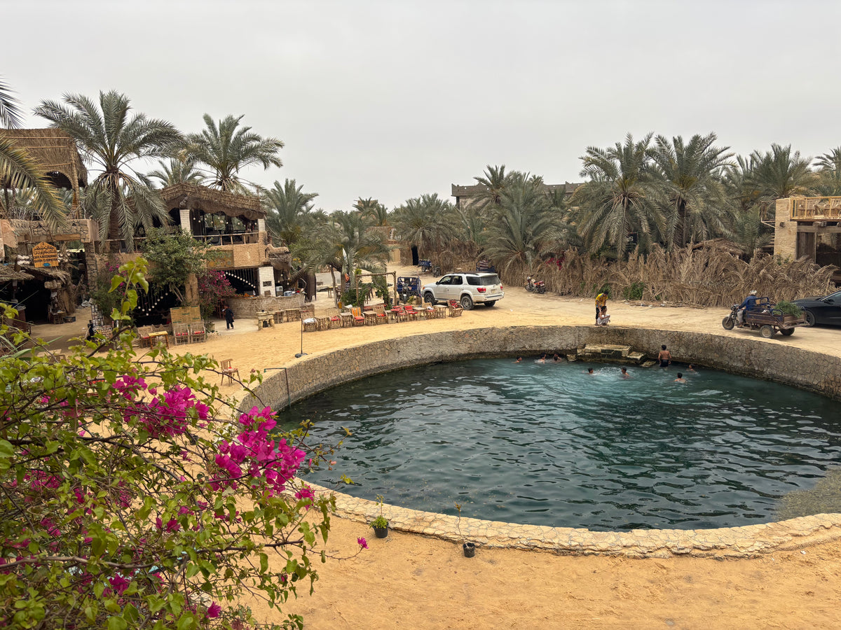 Siwa Oasis, Egypt study No. 02