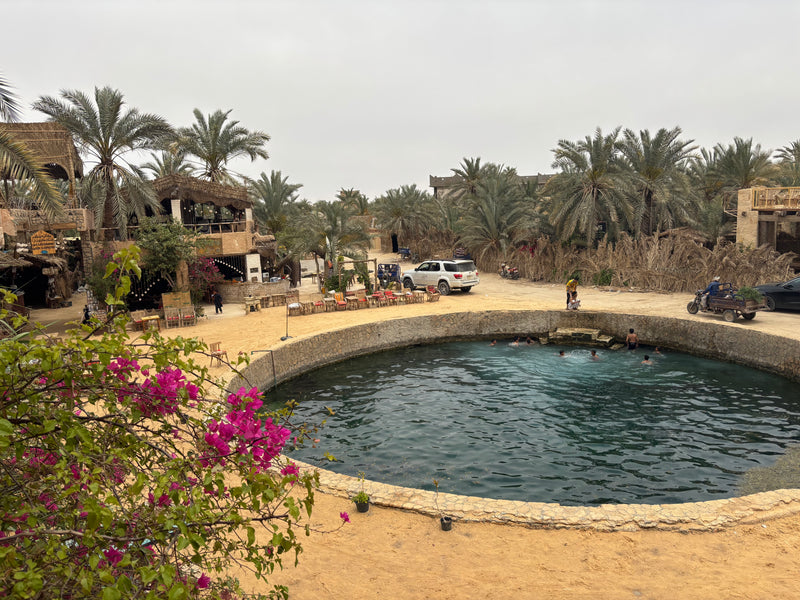 Siwa Oasis, Egypt visual study 02