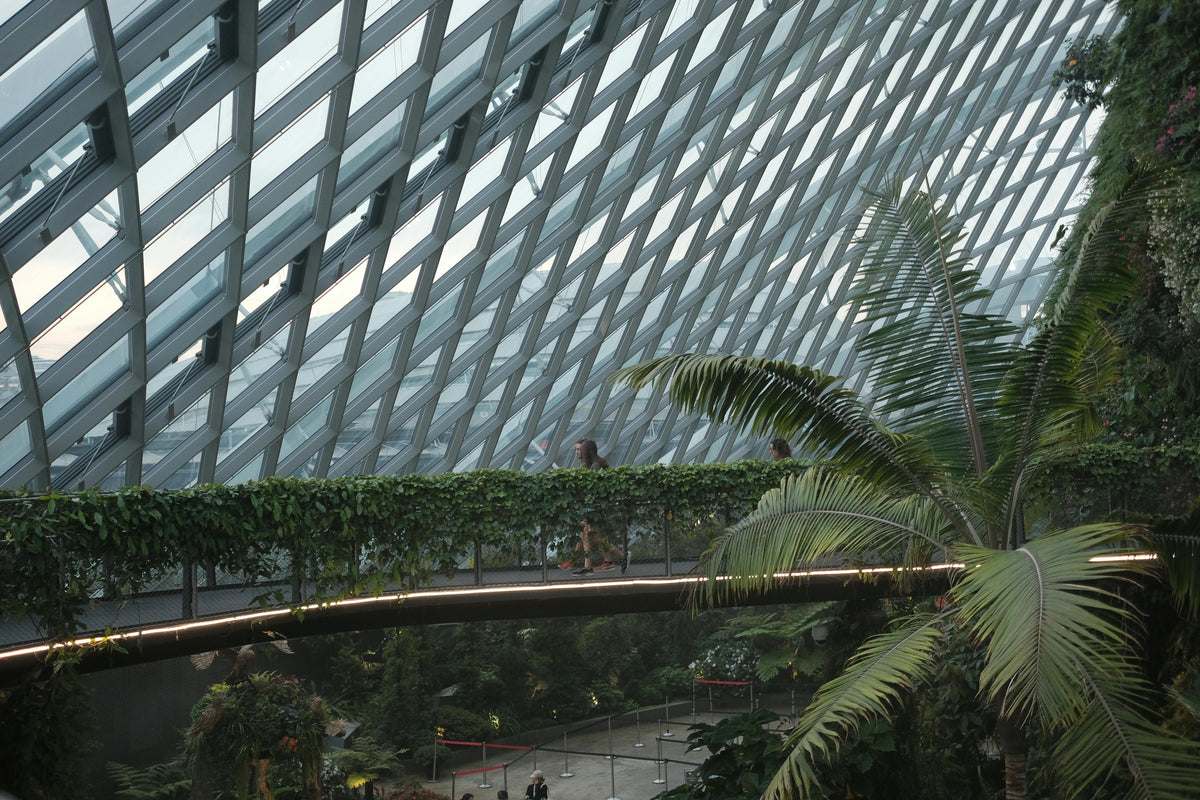 Gardens by the Bay, Singapore study No. 03