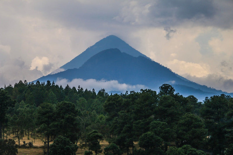 Cobán, Guatemala study No. 03