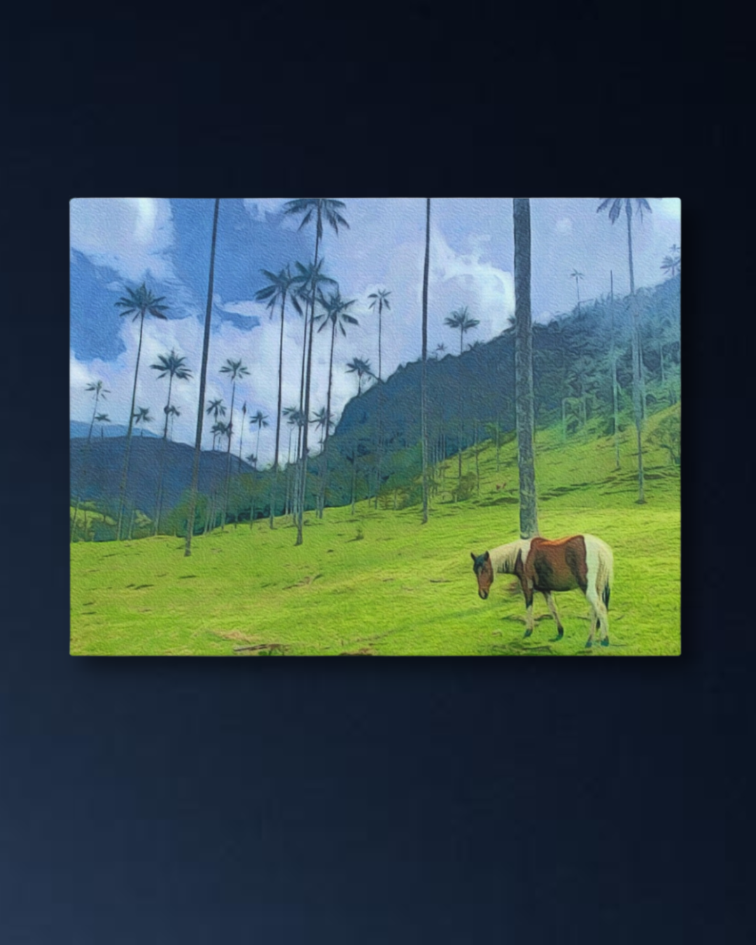 Valle de Cocora, Colombia Study No. 4