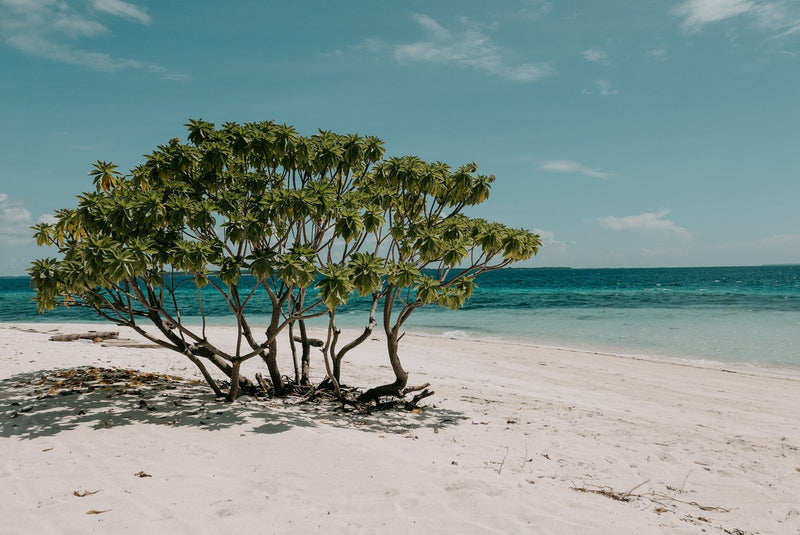 Cook Islands, Cook Islands visual study 02