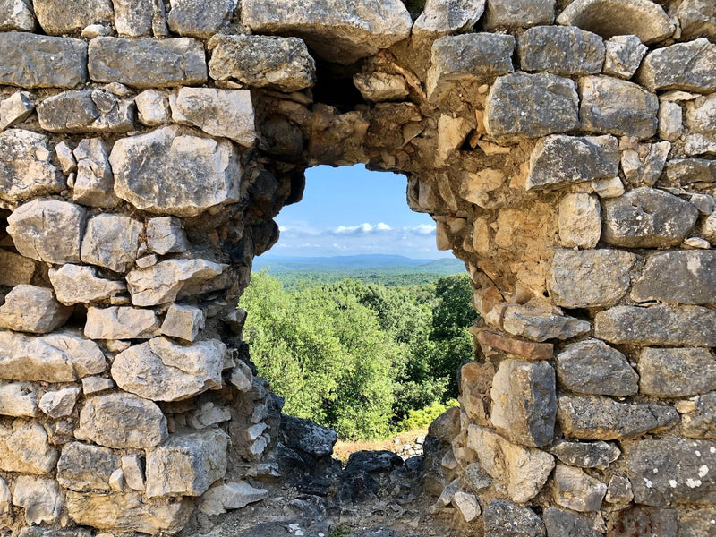 Copan Ruins, Honduras study No. 02