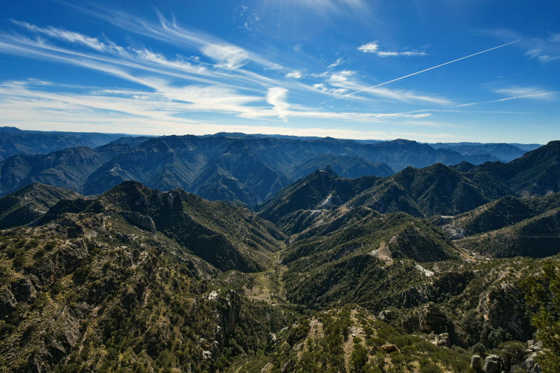 Copper Canyon, Mexico study No. 01