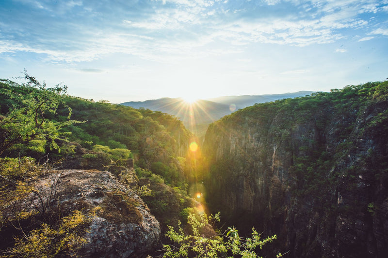 Copper Canyon, Mexico study No. 02