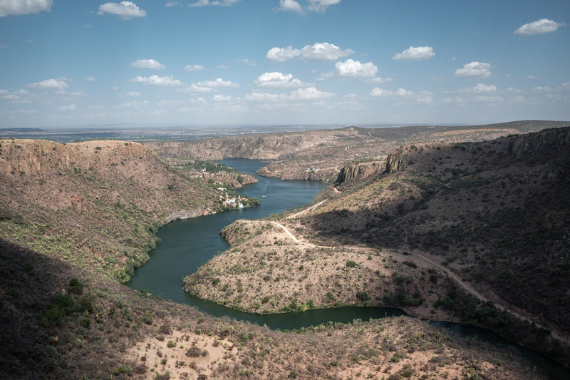 Copper Canyon, Mexico study No. 03